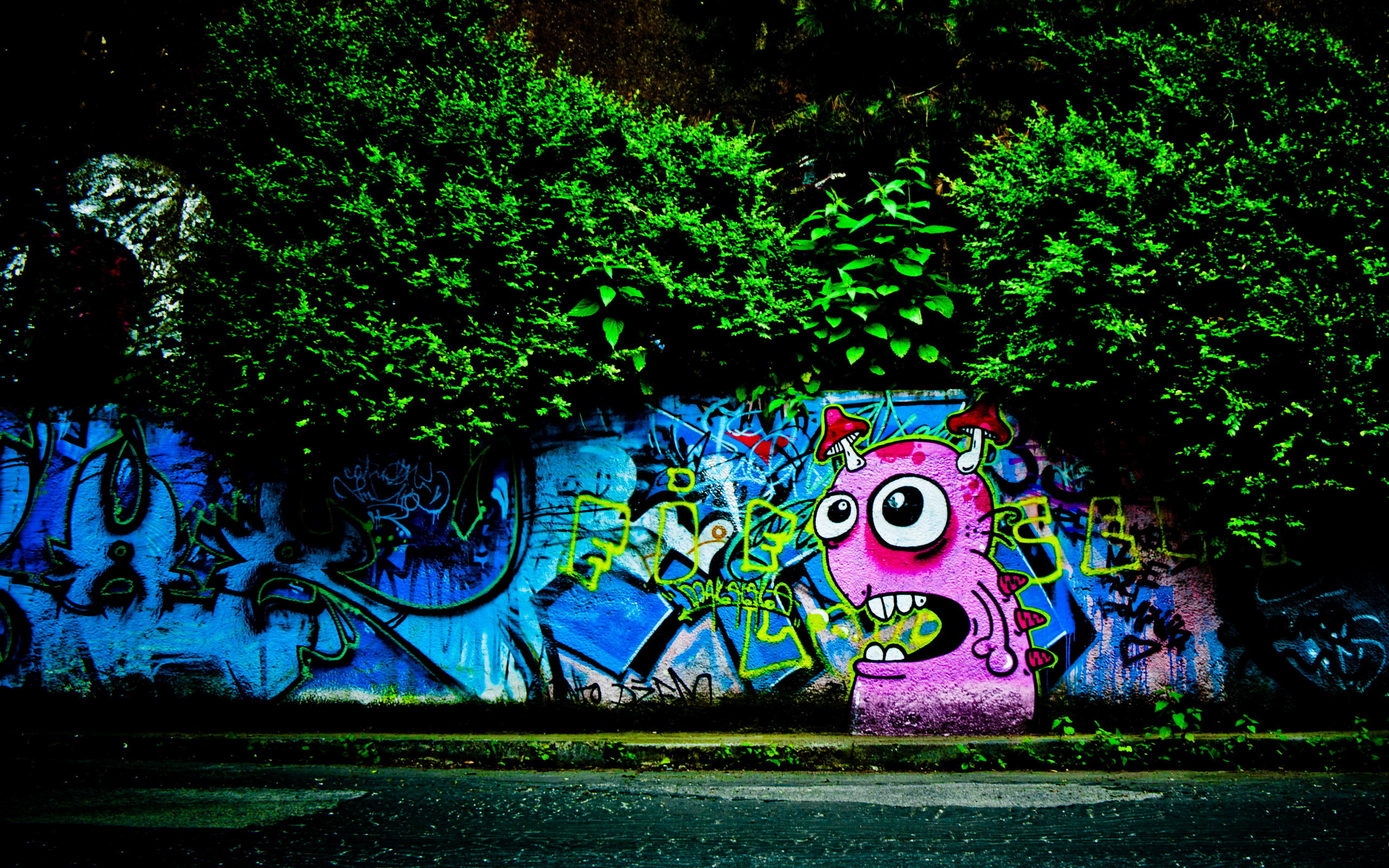 Graffiti Backgrounds Wallpaper 2560x1600 71122
