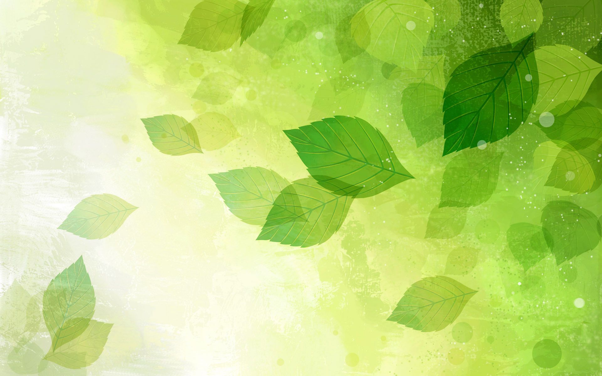 Leaves Background wallpaper 1920x1200 70586