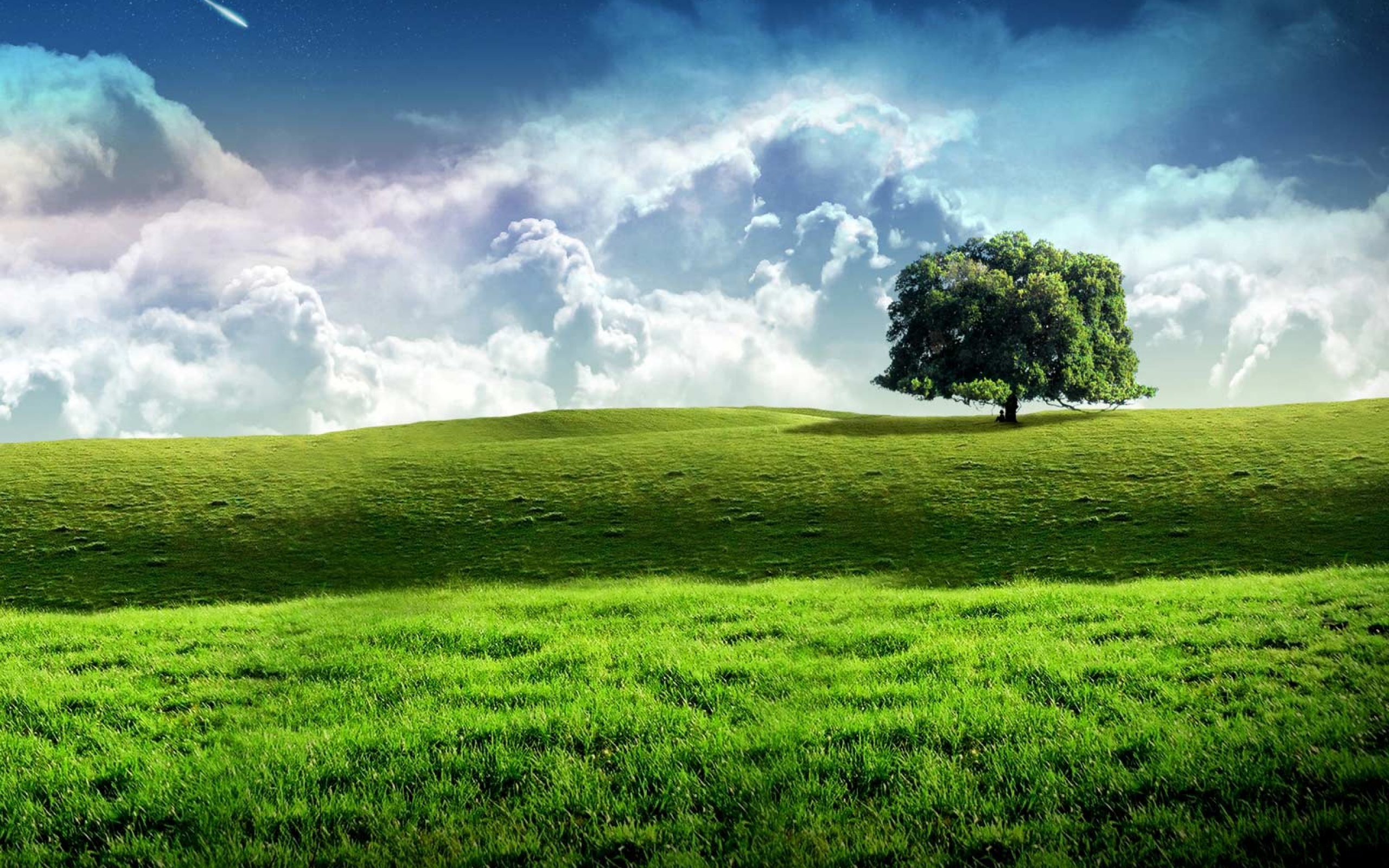 Meadow Background wallpaper 2560x1600 83747
