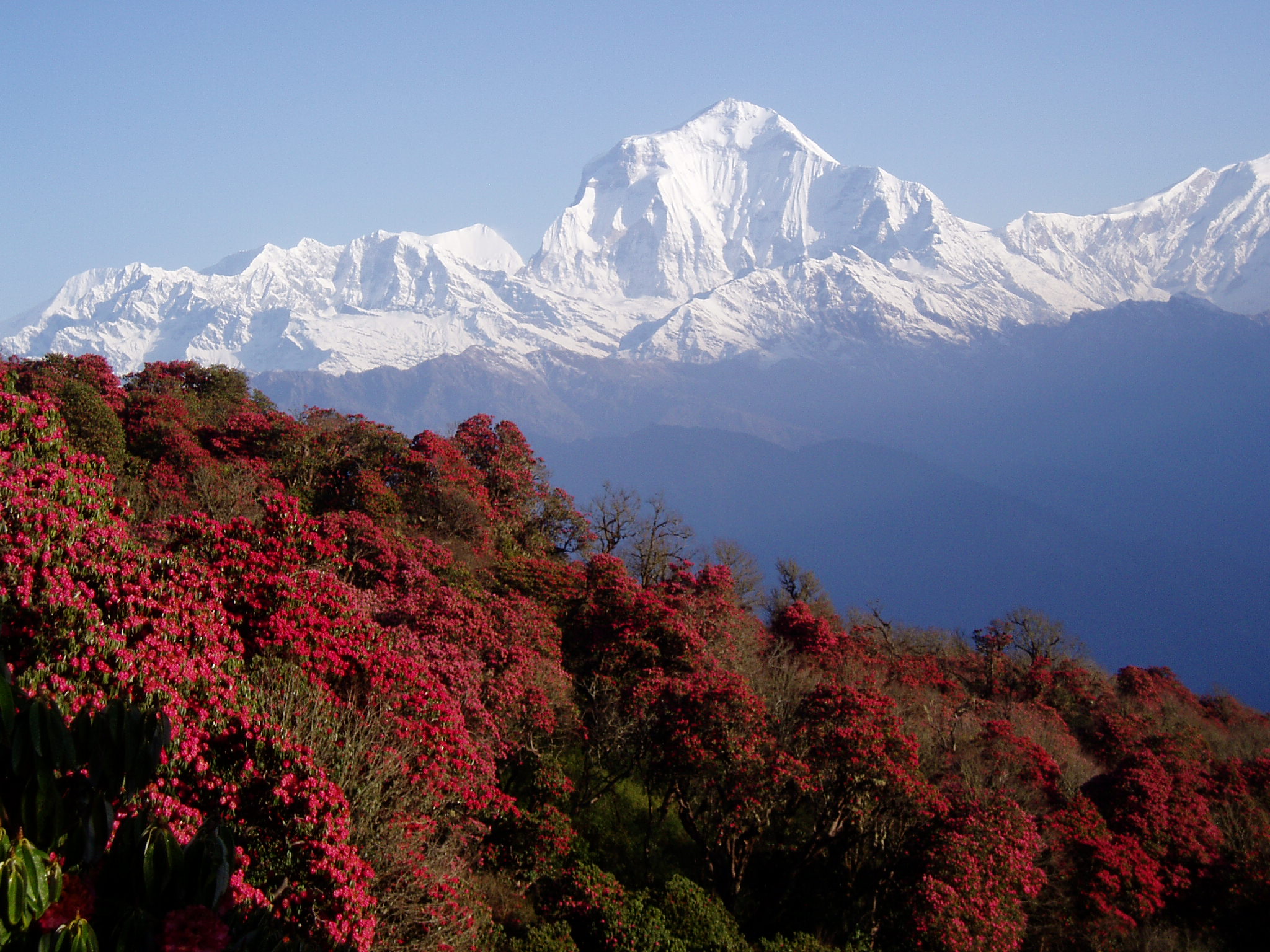 Nepal wallpaper 2048x1536 73601