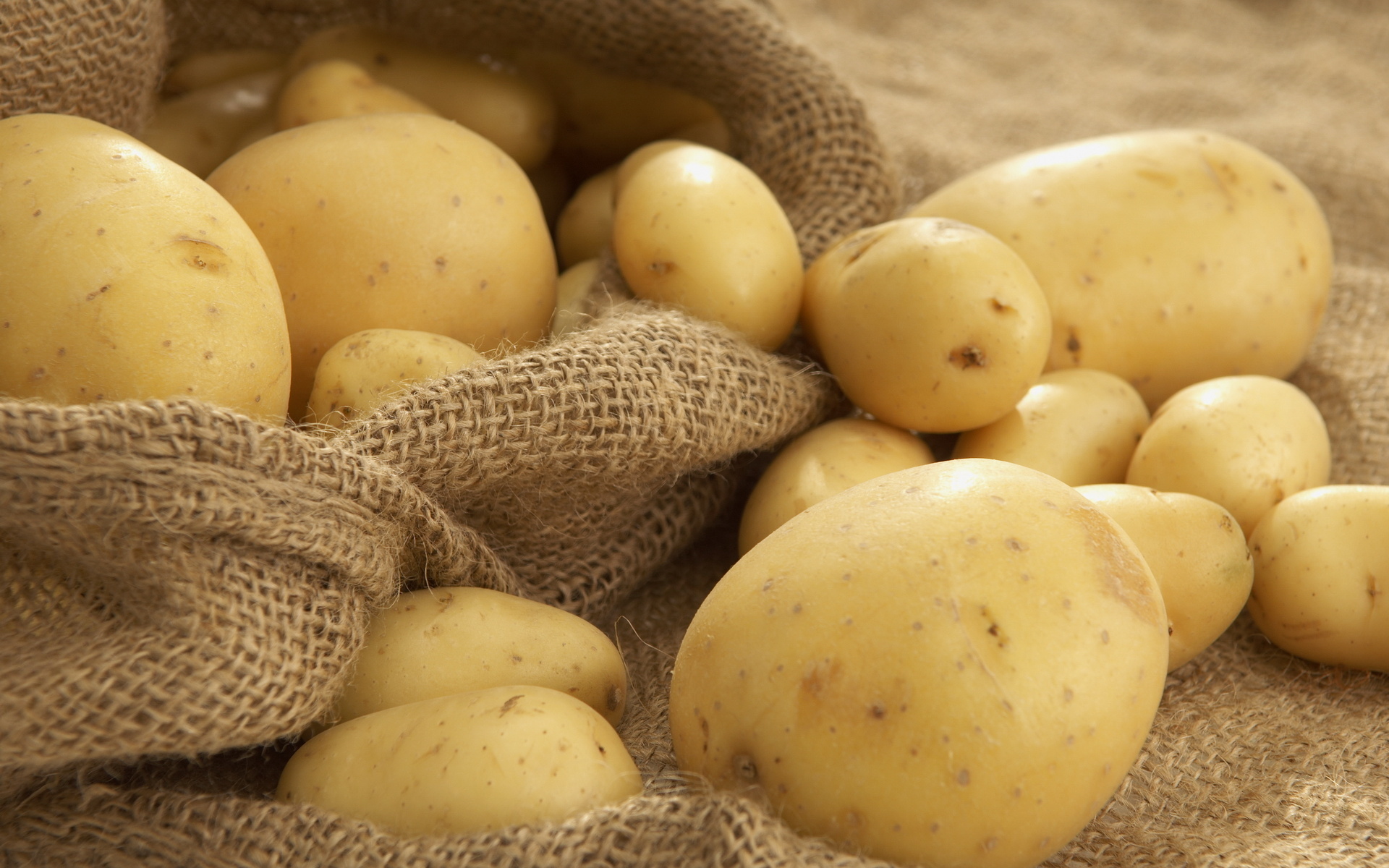 Potato wallpaper | 1920x1200 | #67078
