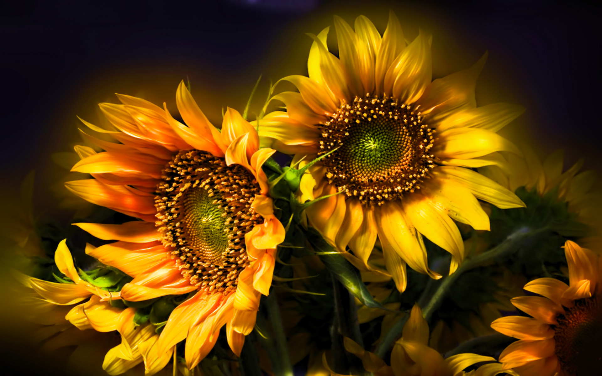 Summer Flowers Picture wallpaper 2560x1600 83374