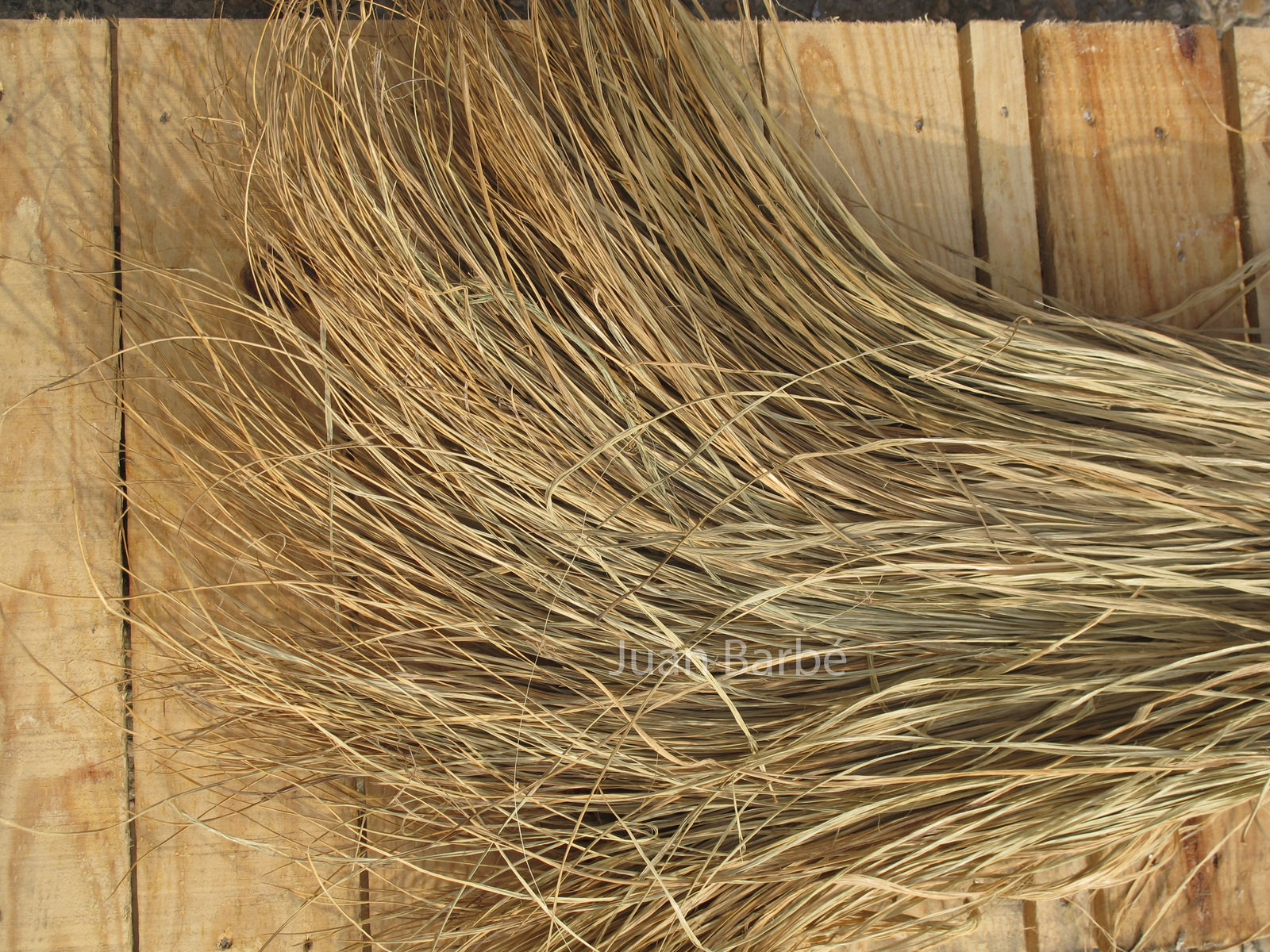 Opiniones de esparto