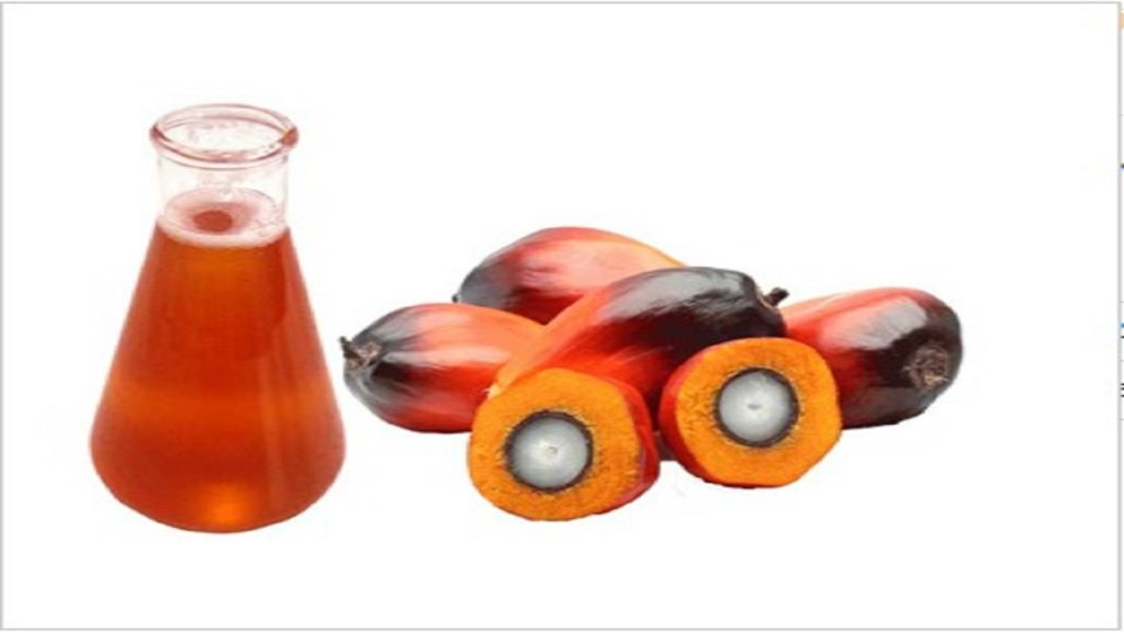 RBD Palm Oil CP10 ESL BANGLADESH