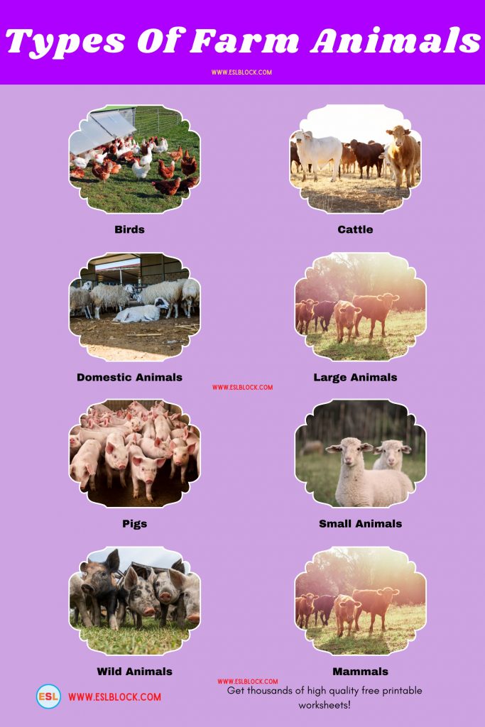 List Of Farm Animals Different Types of Farm Animals English as a