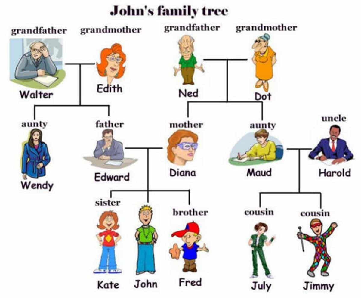English Vocabulary Members of the Family ESLBUZZ
