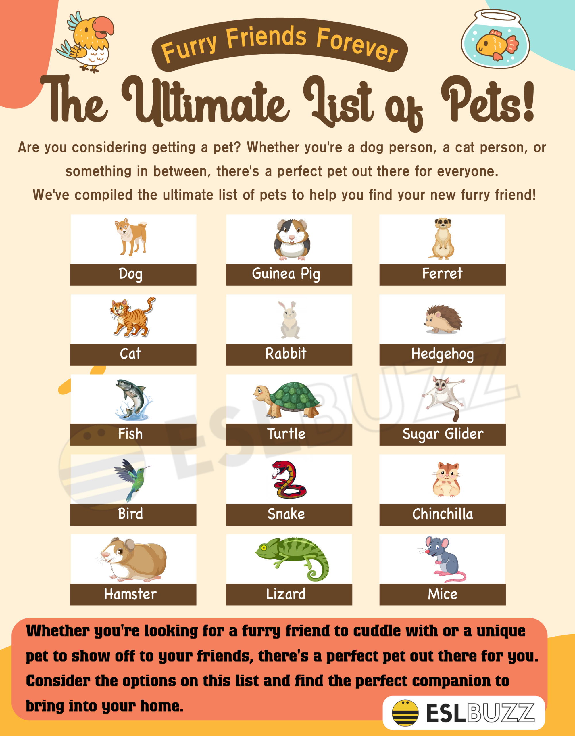 List of Pets List of Amazing Animal Friends to Cuddle With ESLBUZZ