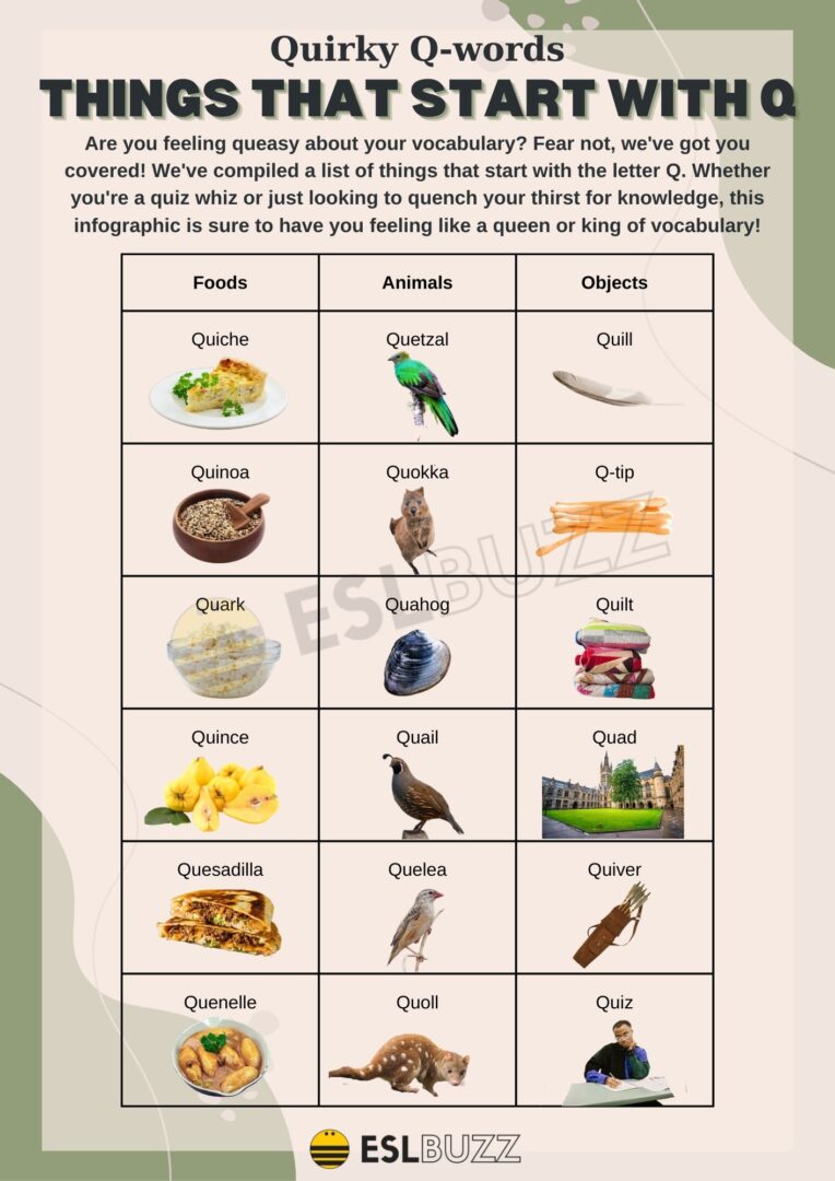 Things That Start with Q to Quench Your Thirst for Knowledge ESLBUZZ