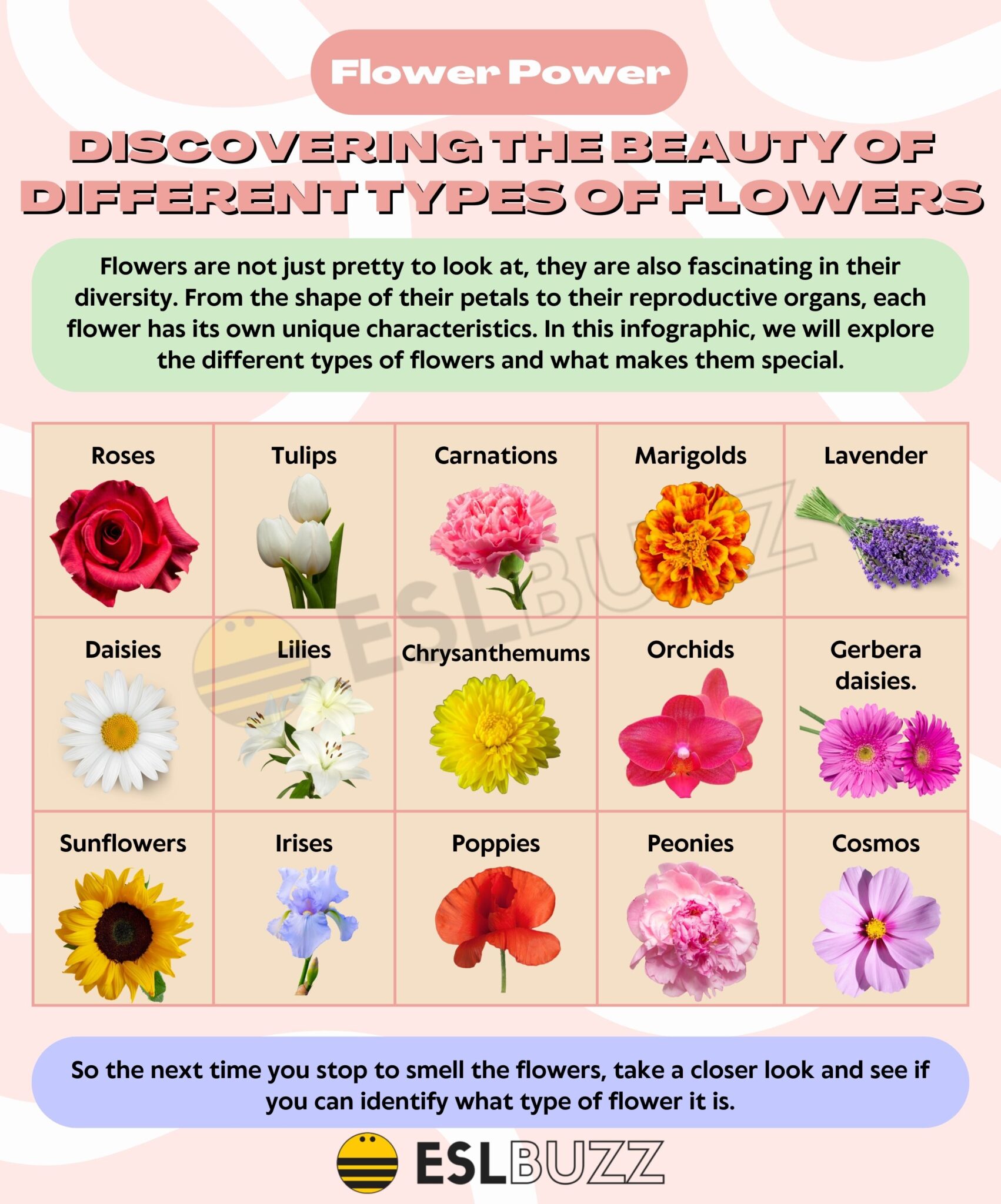 Types of Flowers to Boost Your English Vocabulary ESLBUZZ
