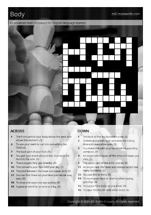 Body Crossword