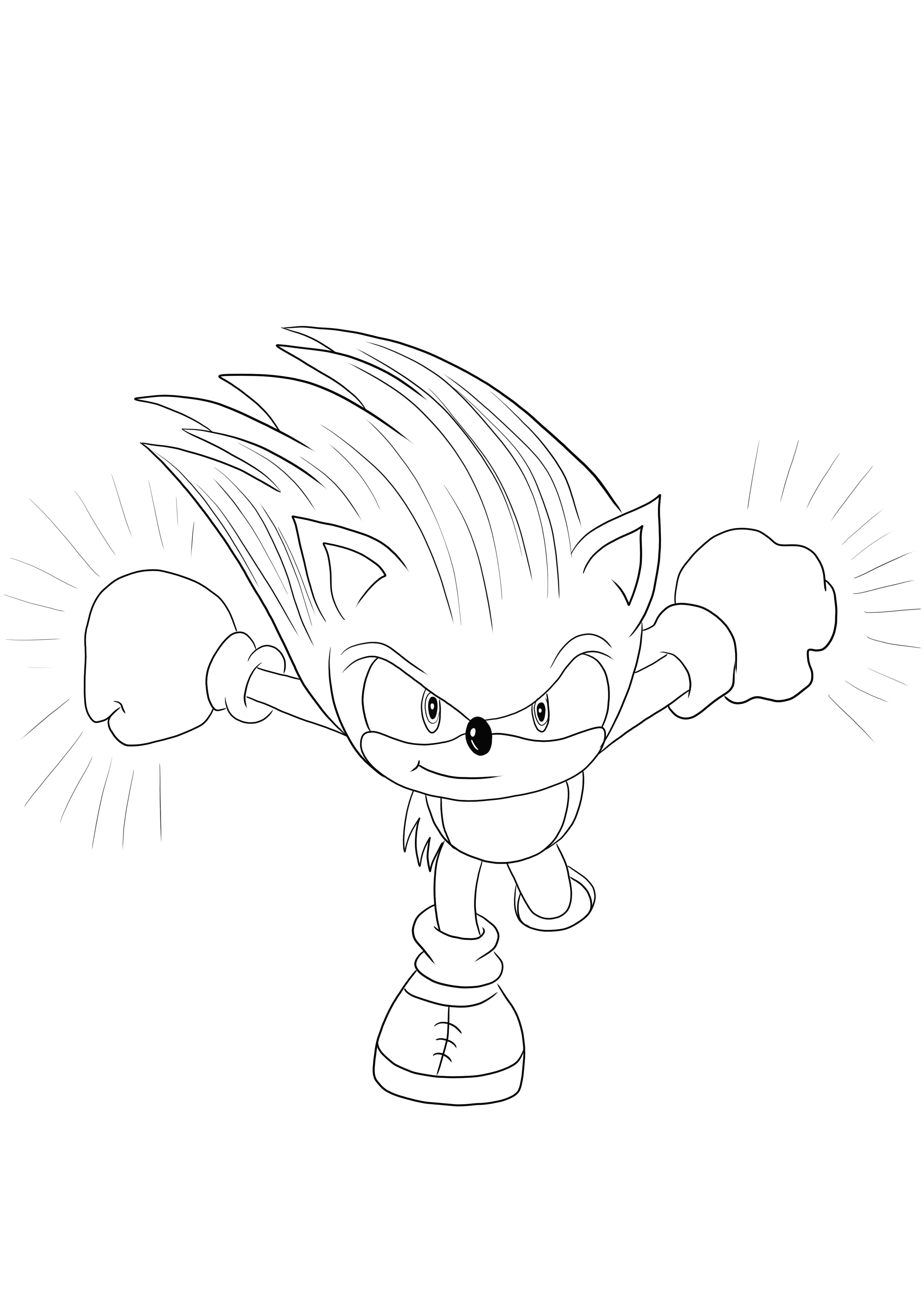 Sonicfor coloring and free printing or downloading for all age kids