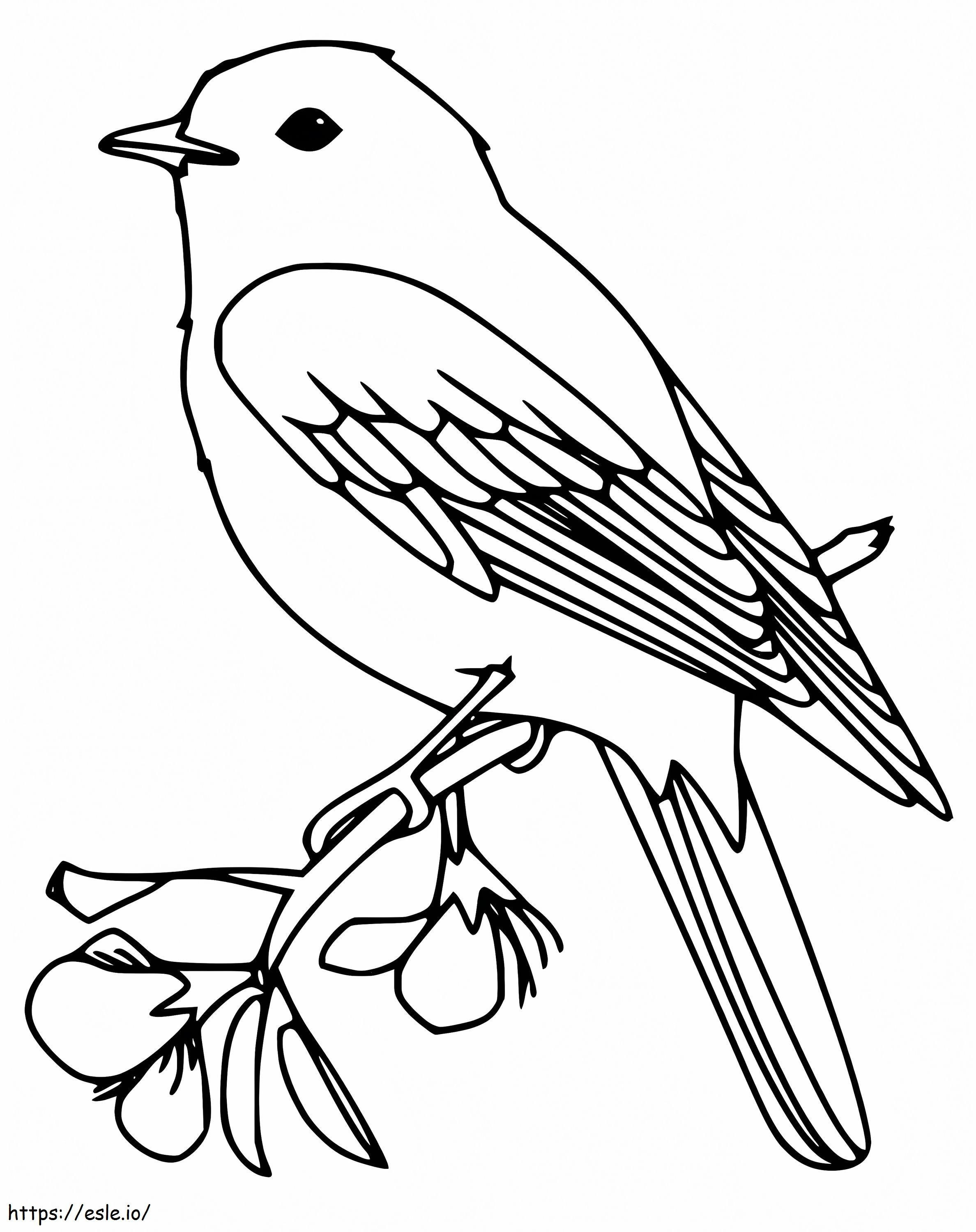 Bluebird Printable coloring page