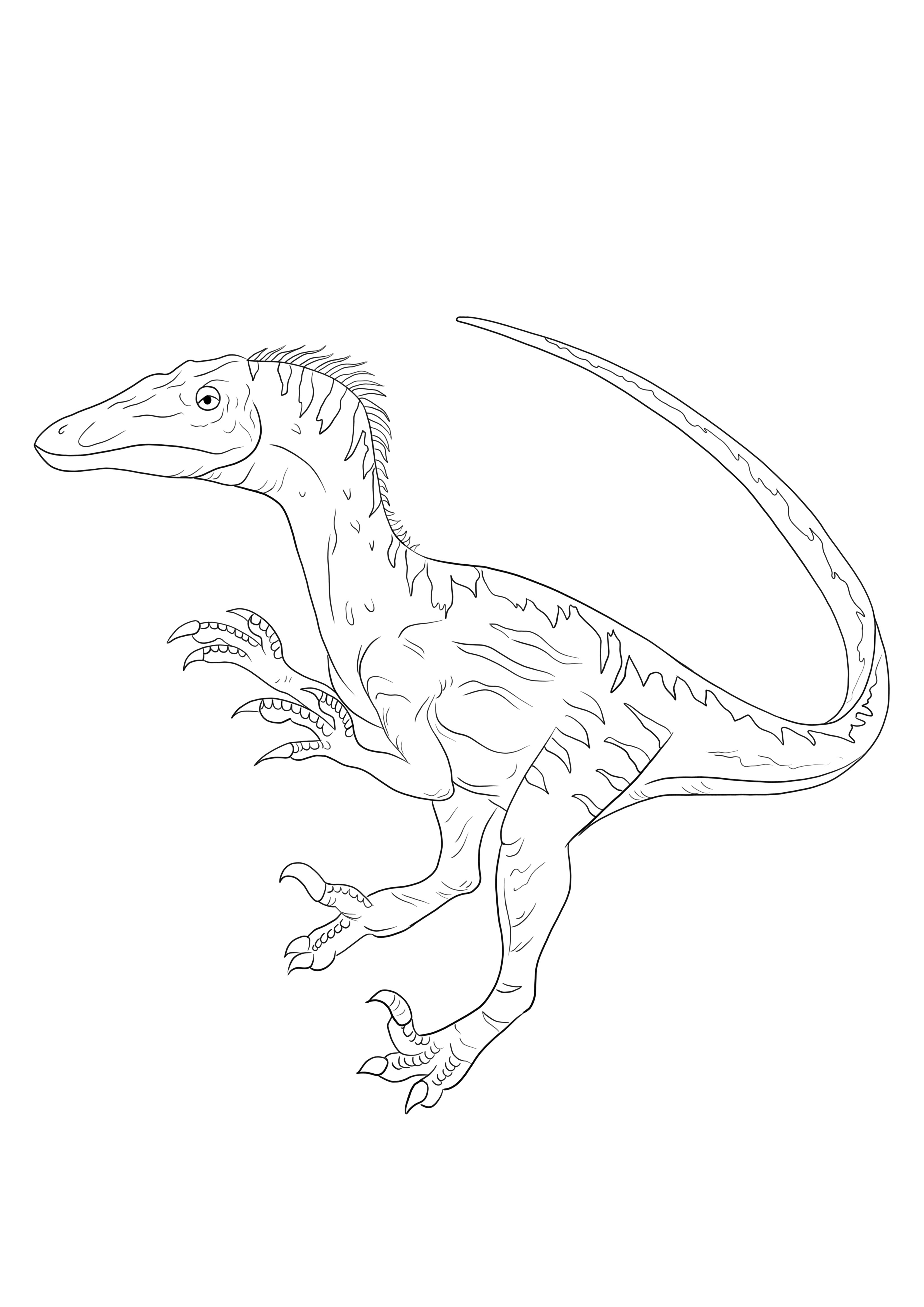 Gros V??lociraptor ?? t??l??charger gratuitement et ?? colorier