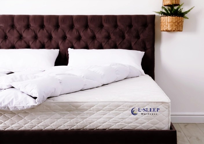 Buy Mattress Online Best Mattress Brands in India Esleeo