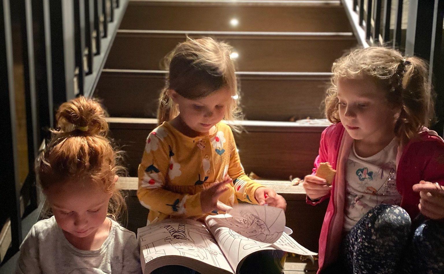 Esler Construction Specializes in Trex Composite Decking