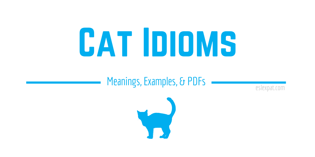 Cat Idioms List with Meanings, Examples, & PDFs ESL Expat