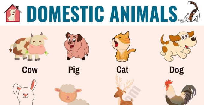 100 Animals List Challenges
