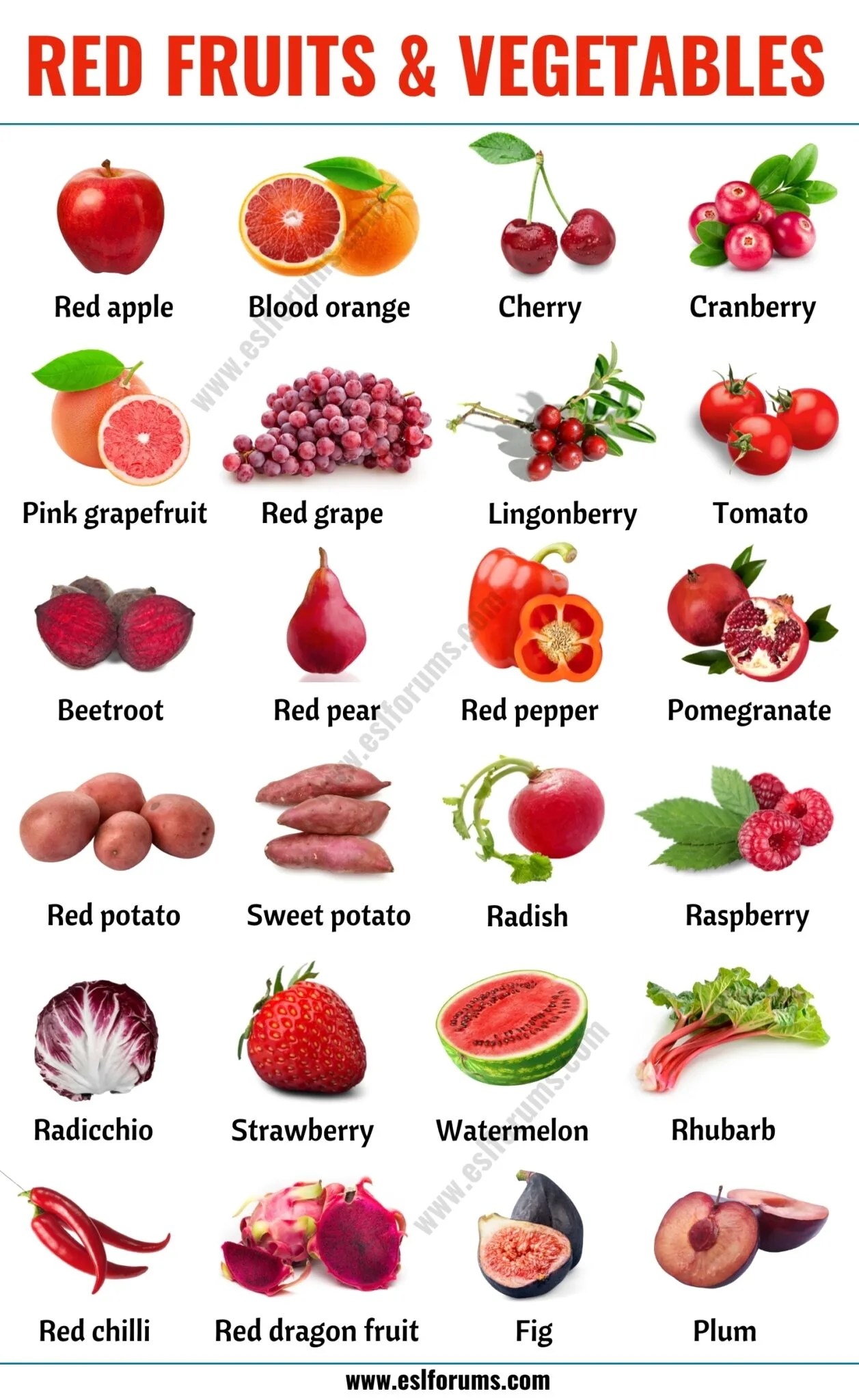 All Fruits Name List In English With Picture
