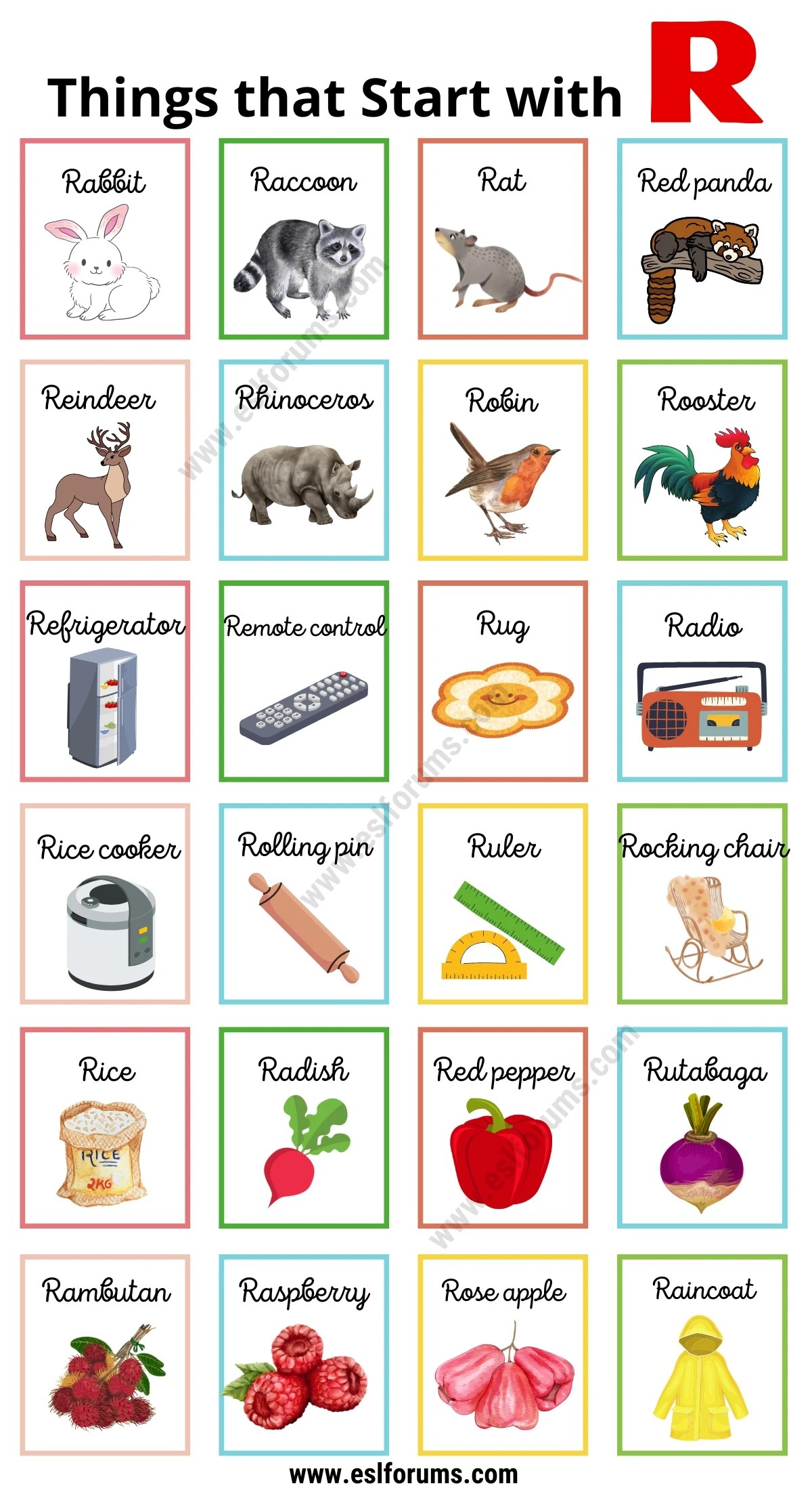 321 Beautiful Things that Start with P P Objects for Kids ESL Forums