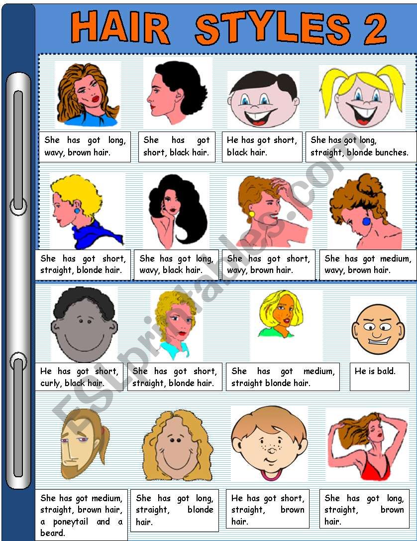 HAIR STYLES ESL worksheet by sandytita