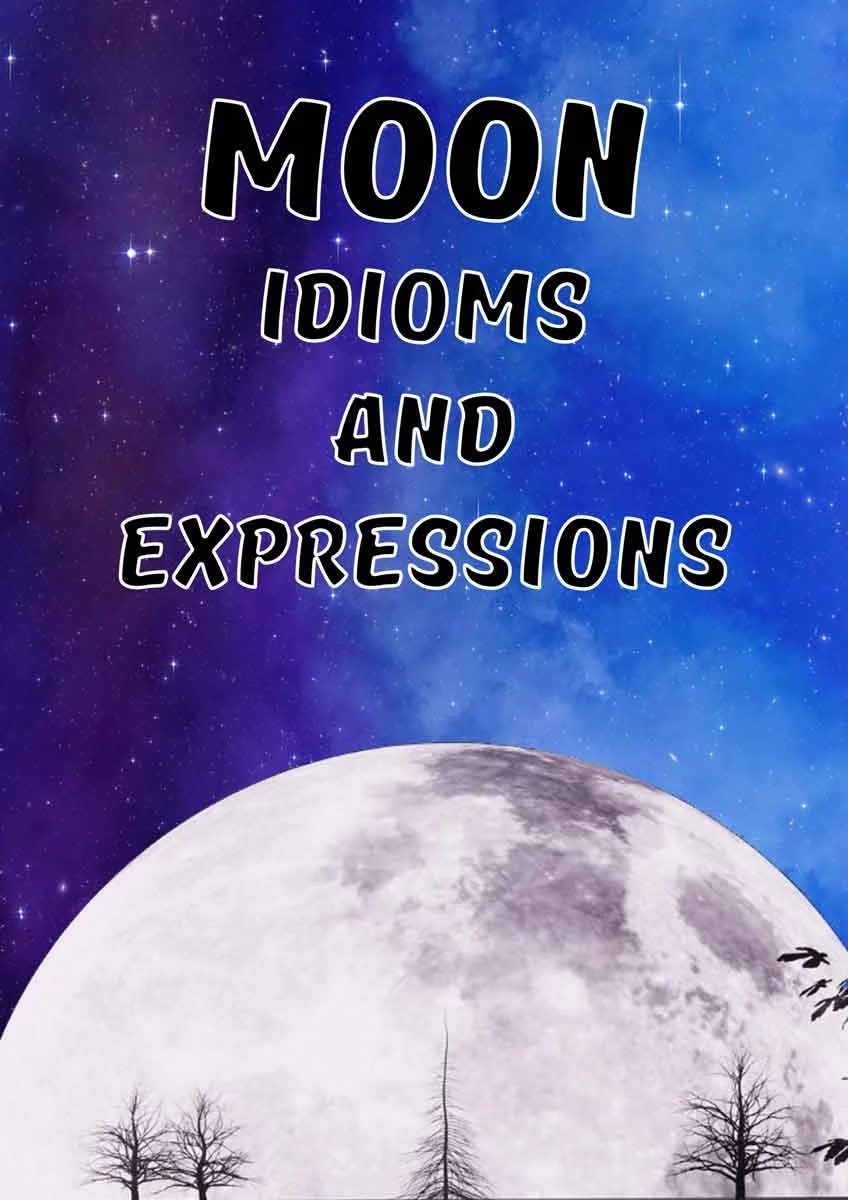 27 Fun moon idioms and expressions ESL Vault