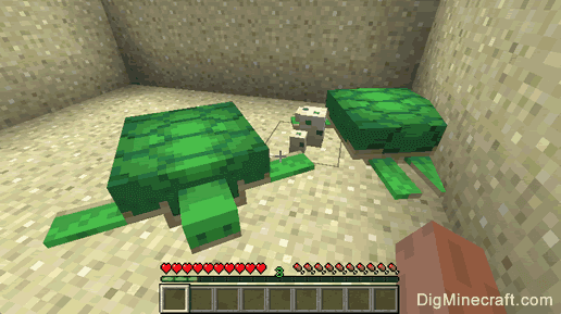 √ How to Breed Turtles in Minecraft (Update 2020)