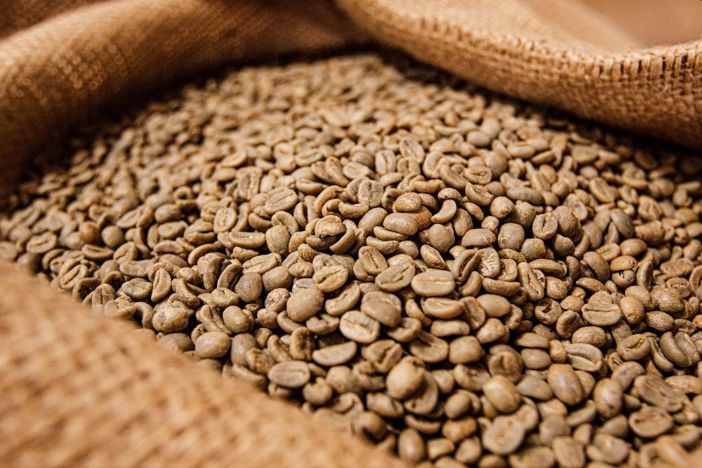 226ERS crea su propio café ecológico, llega el SOLO COFFEE