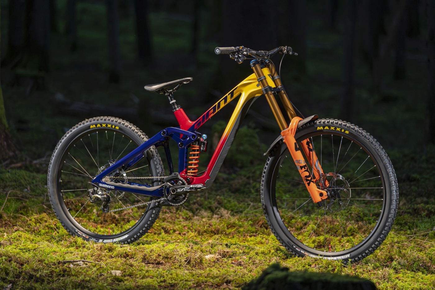 Giant Glory 2023, la actualización de un mito del DH