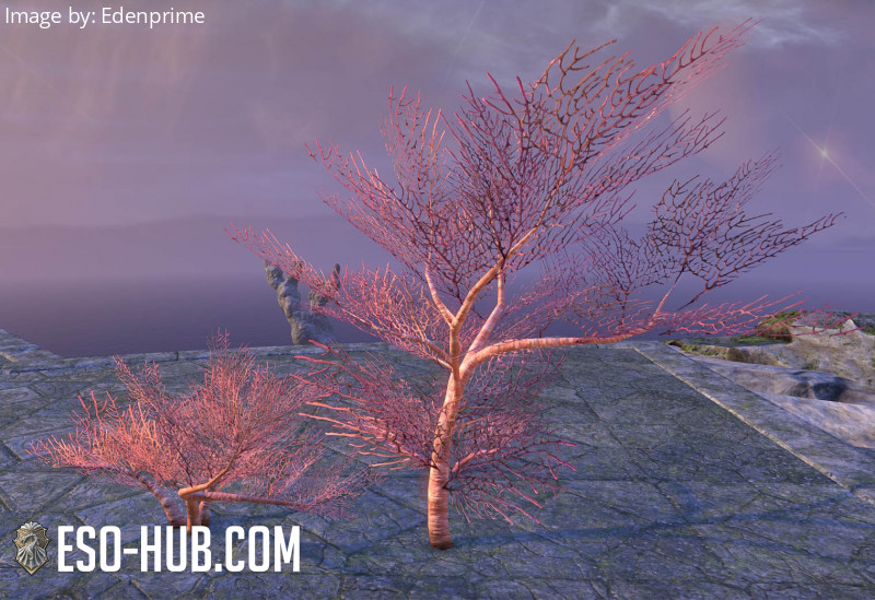 BrittleVein Coral, Cluster ESO Hub Elder Scrolls Online