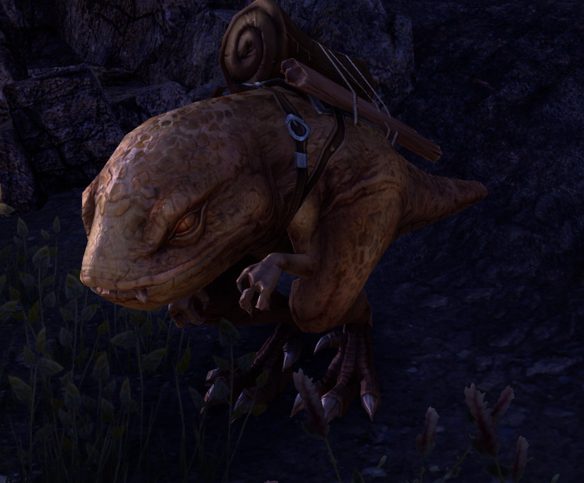 Gallery O' Guar » ESO Academy