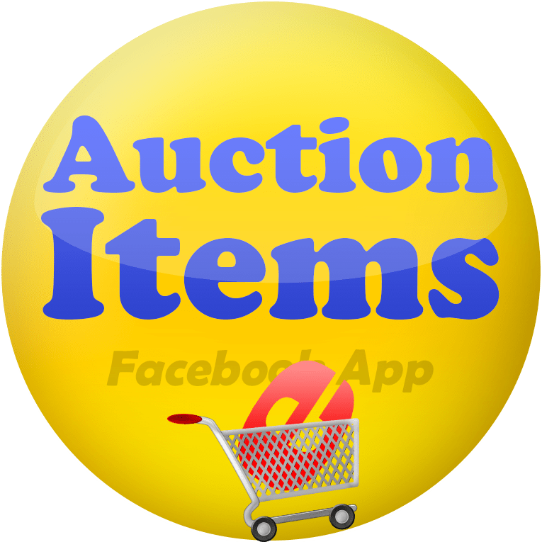 eBay Store App for Facebook Pages Auction Items