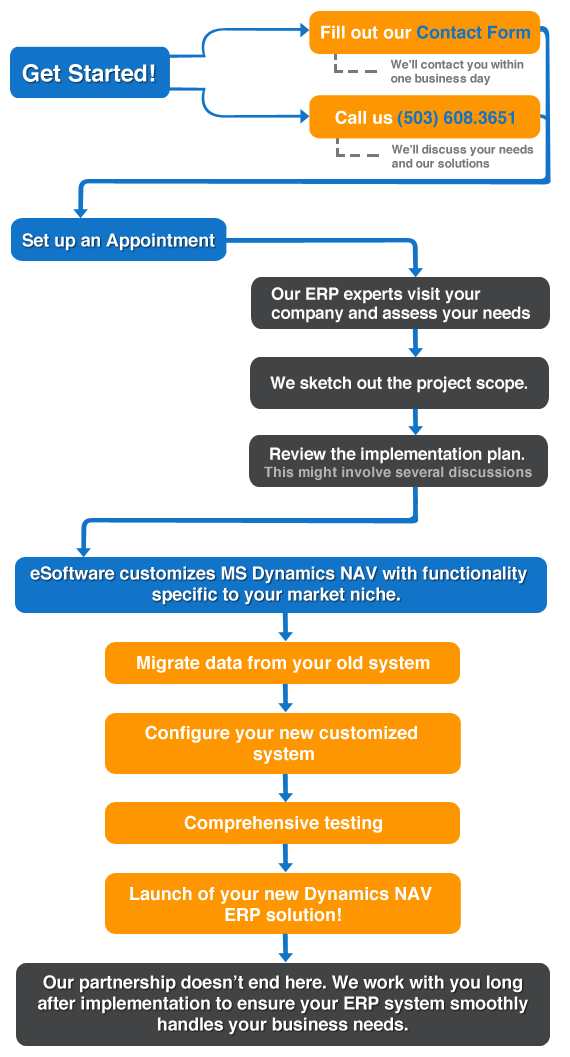 Dynamics NAV Implementation What to Expect eSoftware Professionals