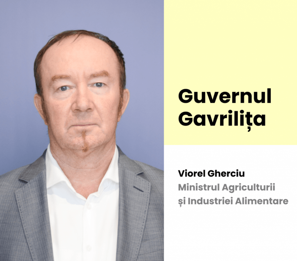 Cei 13 MiniÈtri Ai Nataliei GavriliÈa Prima Femeie Ministru Mai Èi Ministrul Culturii Din BÄlÈi Biografiile CandidaÈilor Sp Ètiri BÄlÈi Moldova