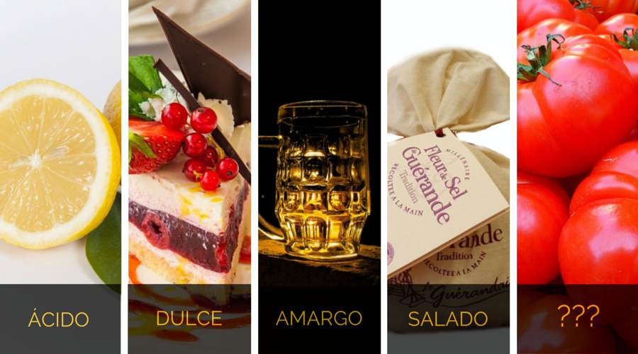 cinco sabores basicos umami Espacio del Gourmet