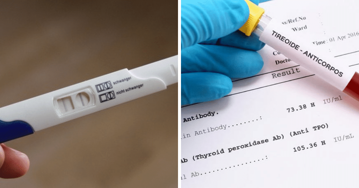 Quais Os Exames Que A Grávida Deve Fazer