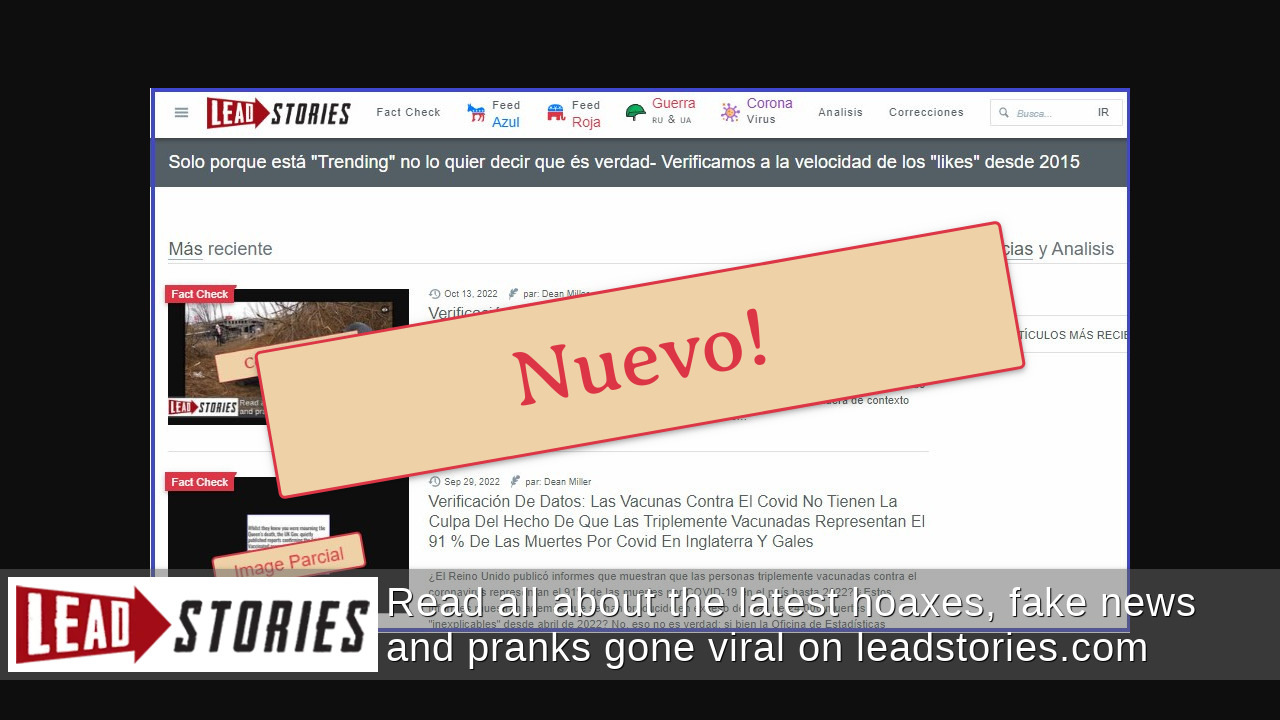 Lead Stories Lanza Sitio De Verificación De Hechos En Español, Centrado