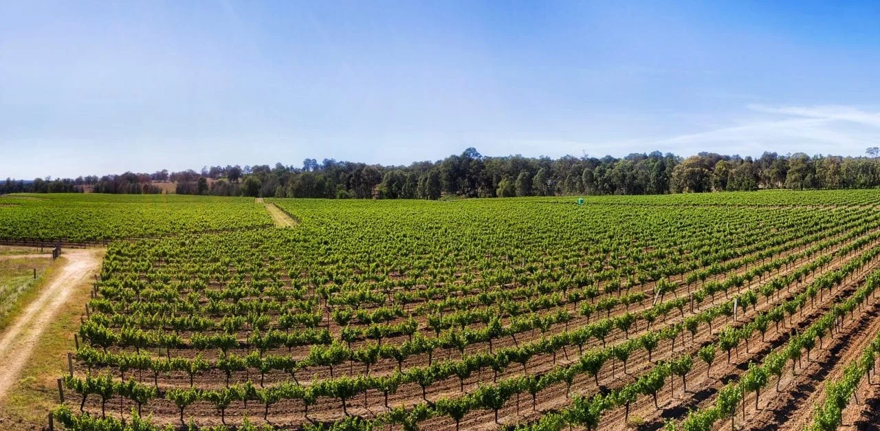 About Us Esparza Enterprises