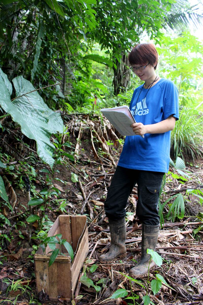 Reforestation Esperanza VerdeEsperanza Verde