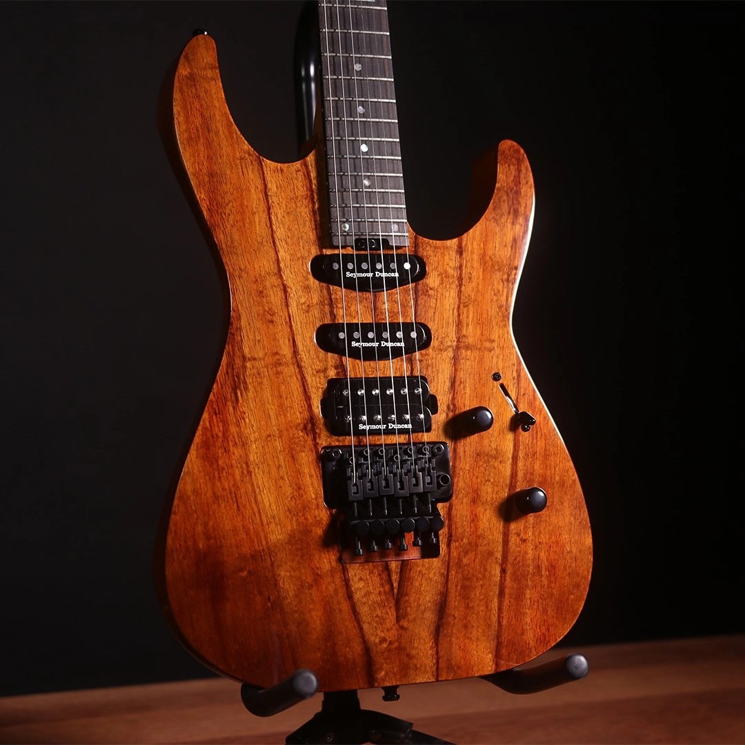 Gallery ESP Guitars Australia
