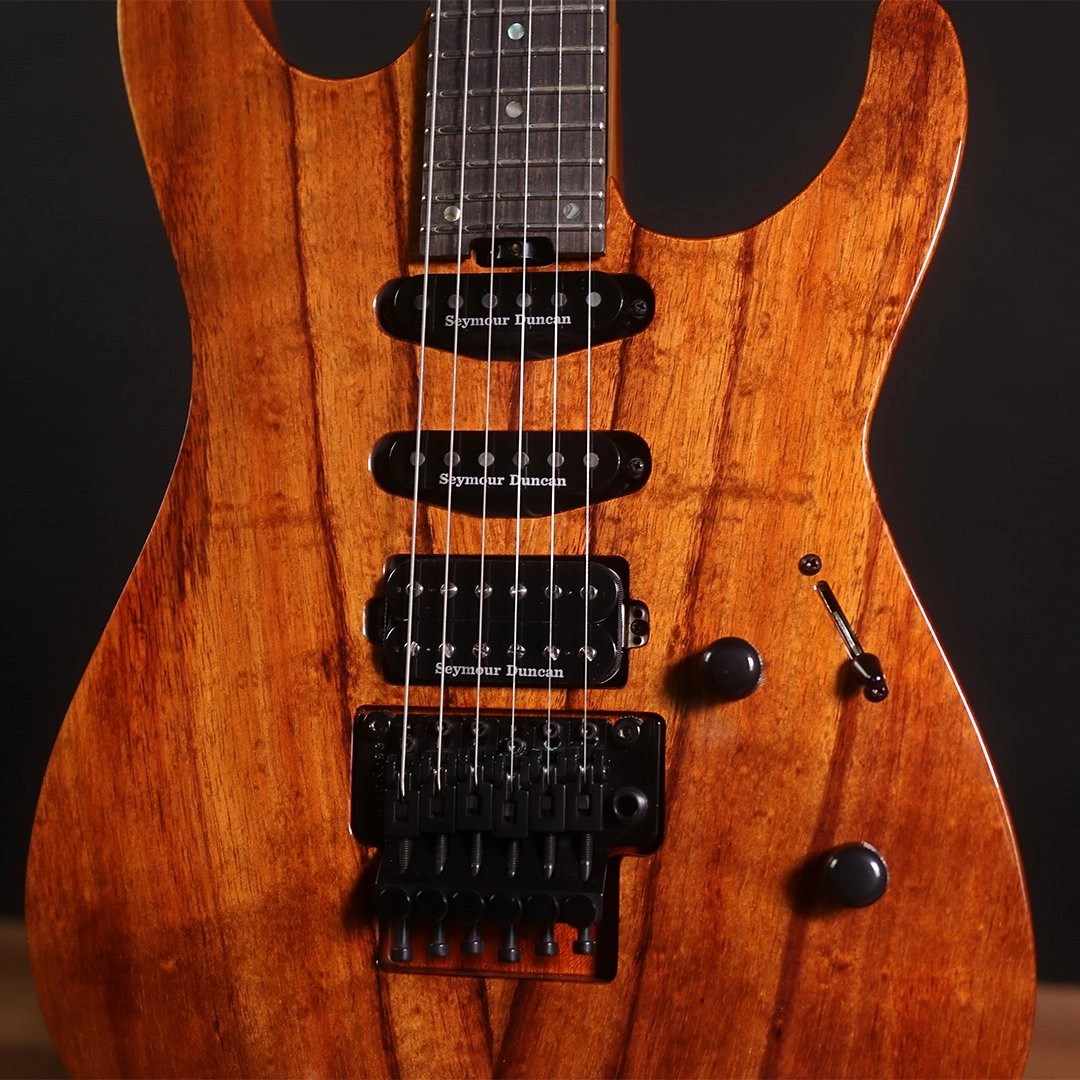 Gallery ESP Guitars Australia