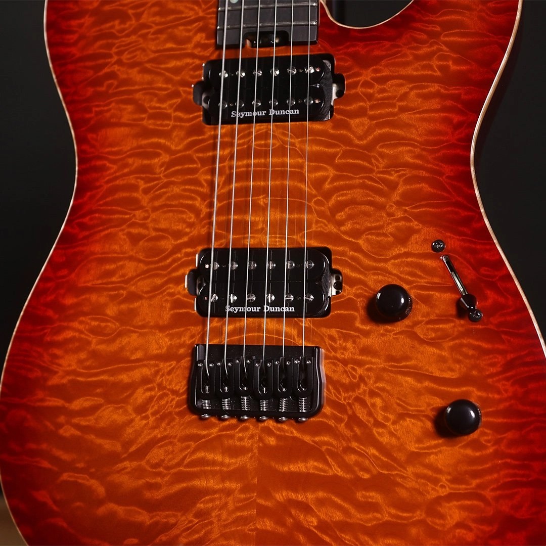 Gallery ESP Guitars Australia