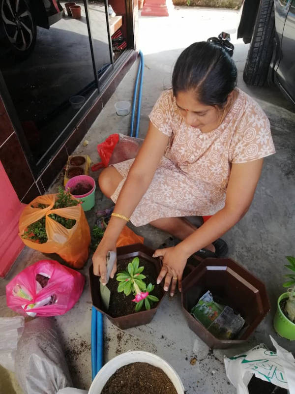 Planting A Hobby That Helps In More Ways Than One Espoletta