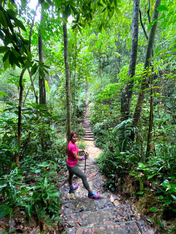 Gunung Ledang My Maiden Hike To The Summit Espoletta