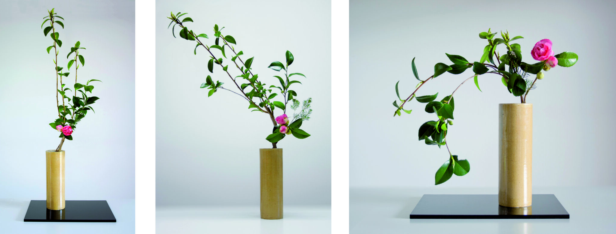 Ikebana modern l'estil nageire Espores