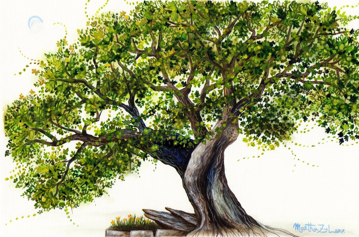Como Dibujar Arboles Con Illustraciencia Espores