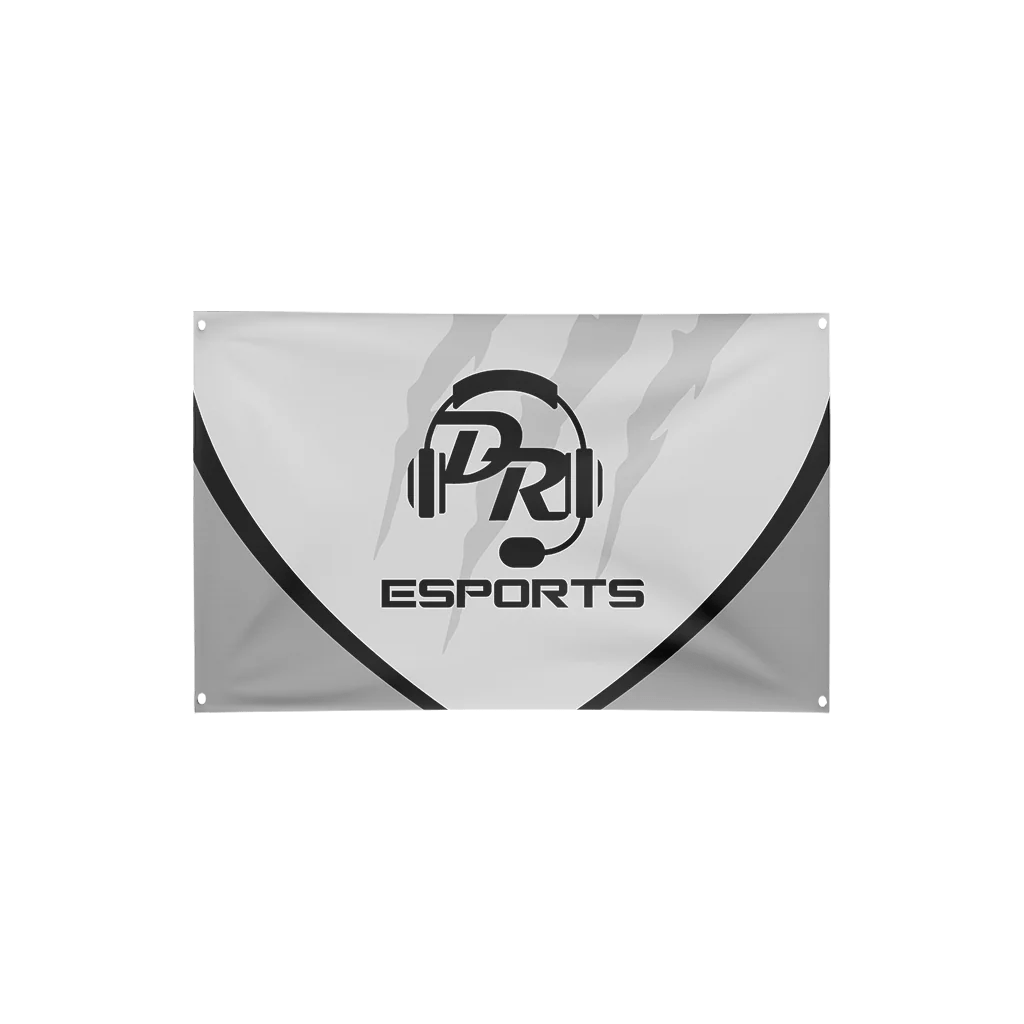 Desert Ridge Immortal Series 2024 Flag EsportsGear LLC