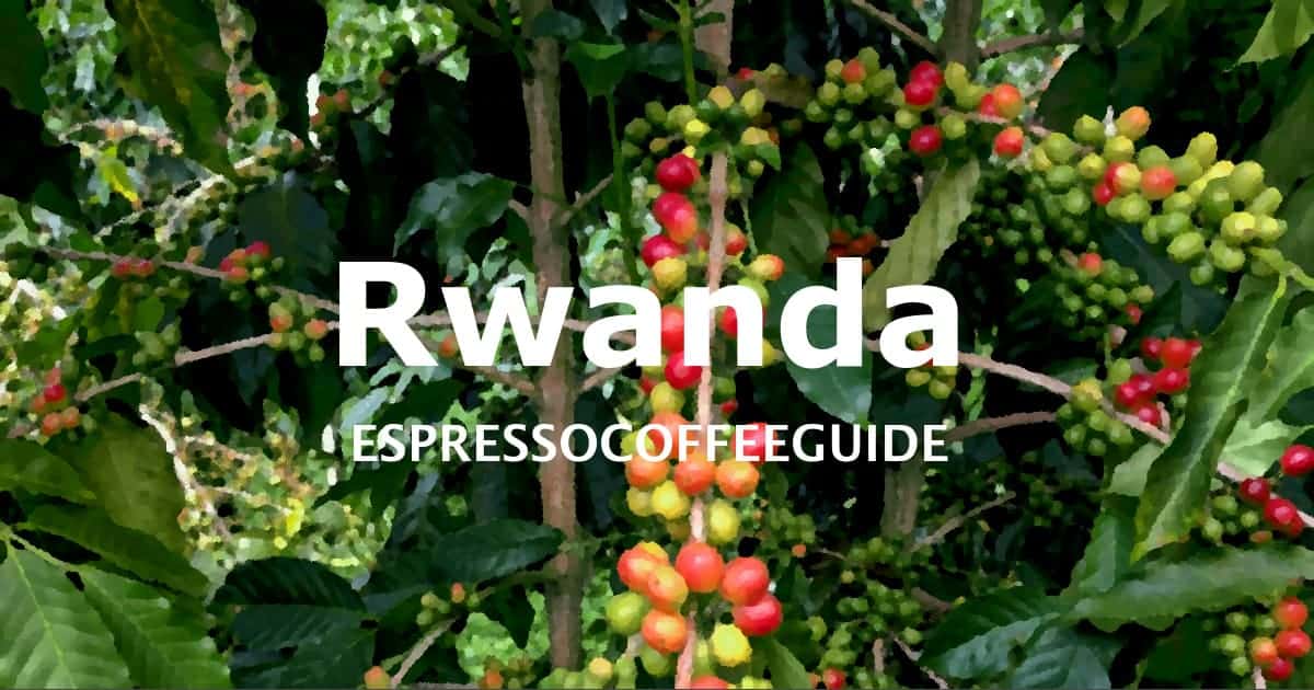 Rwanda Coffee Beans Espresso & Coffee Guide