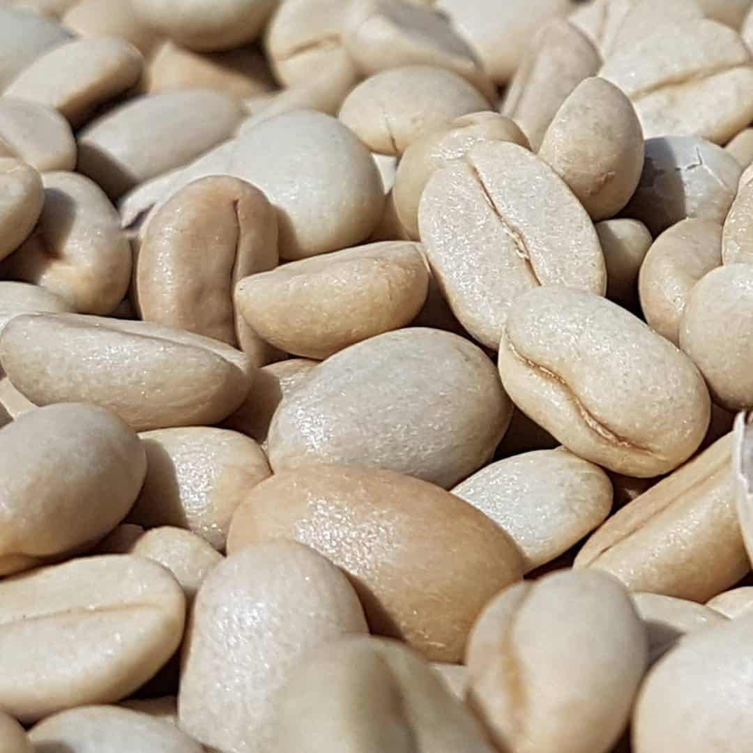 Central African Republic Coffee Espresso & Coffee Guide