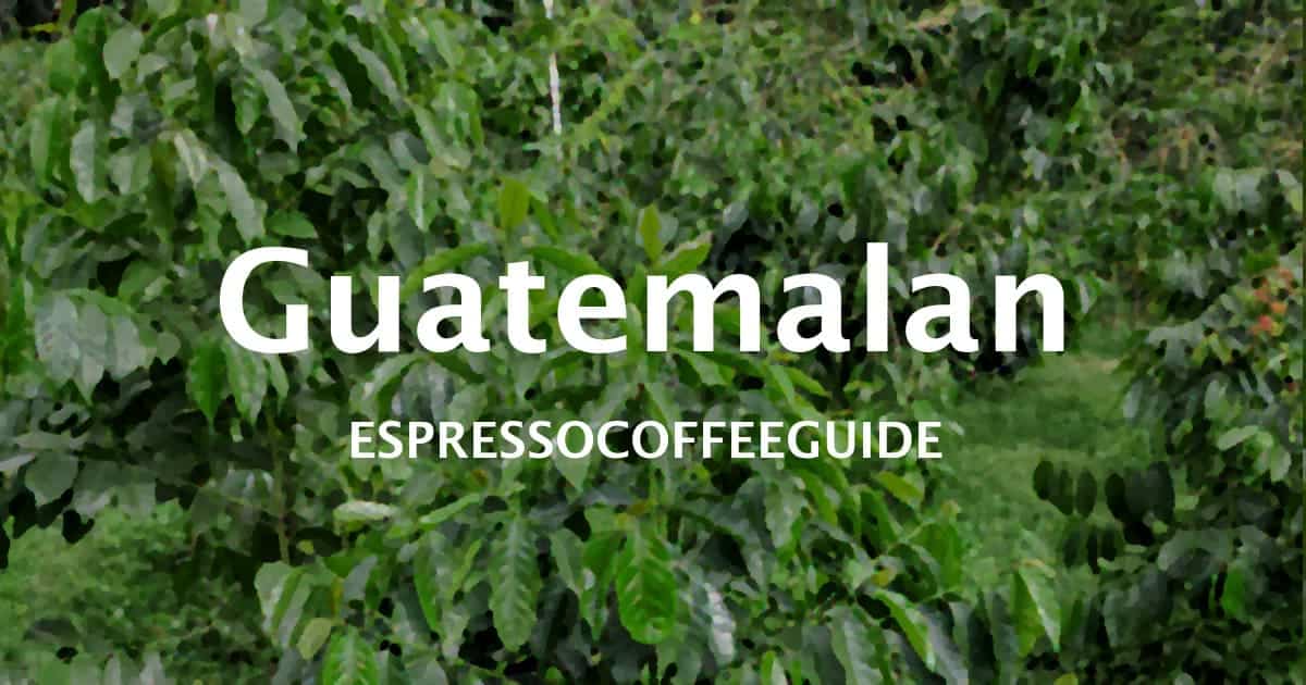Guatemala Huehuetenango Coffee Beans Espresso & Coffee Guide