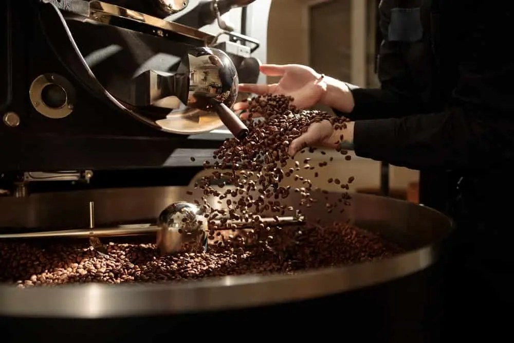 How to Start a Coffee Roasting Business [Turning Your Passion for
